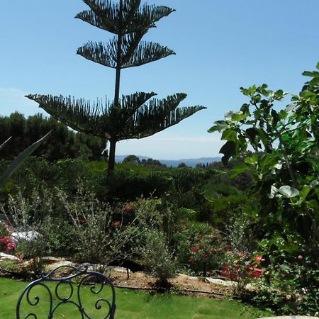 Villa Carpe Diem Le Lavandou Exterior photo